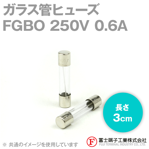 FGBOガラス管ヒューズ 1個 (定格: AC250V 0.6A) (長さ: 3cm) NN