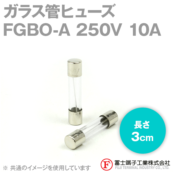 FGBO-Aガラス管ヒューズ 1個 (定格: AC250V 10A) (長さ: 3cm) NN