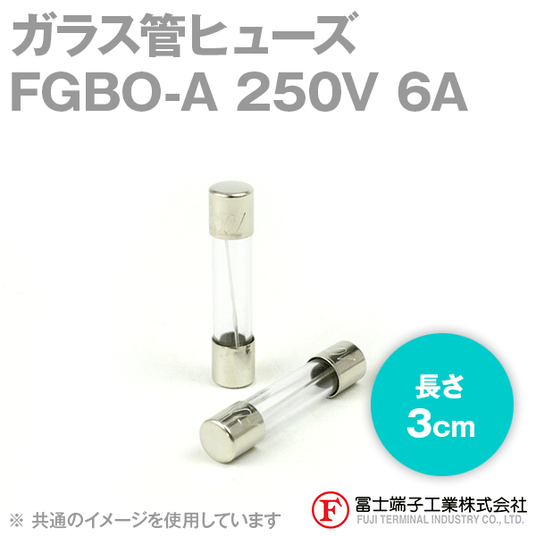 FGBO-Aガラス管ヒューズ 1個 (定格: AC250V 6A) (長さ: 3cm) NN