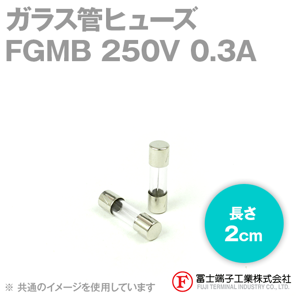 FGMBガラス管ヒューズ 1個 (定格: AC250V 0.3A) (長さ: 2cm) NN