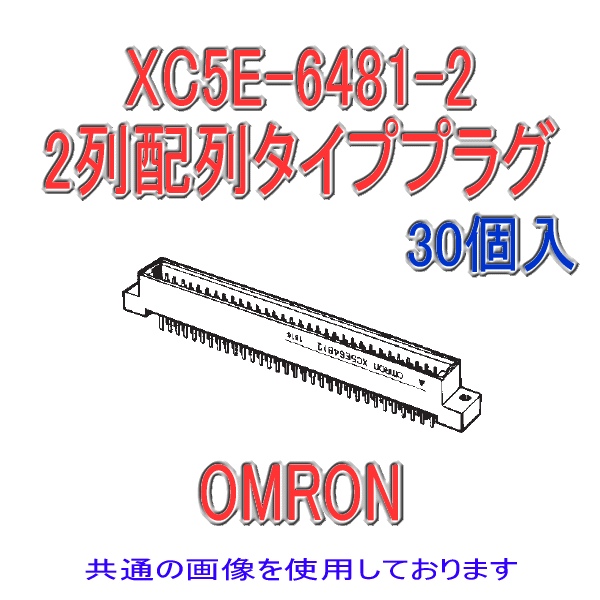 XC5E-2081-2 2列配列タイププラグDINスタイル2ディップストレート端子20極(30個入り)